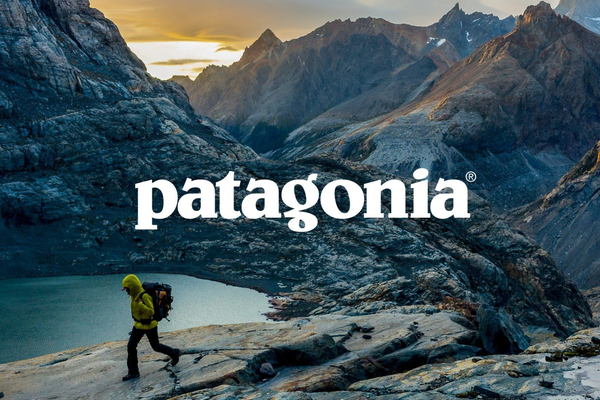 History of Patagonia, Inc. [CLOSED]